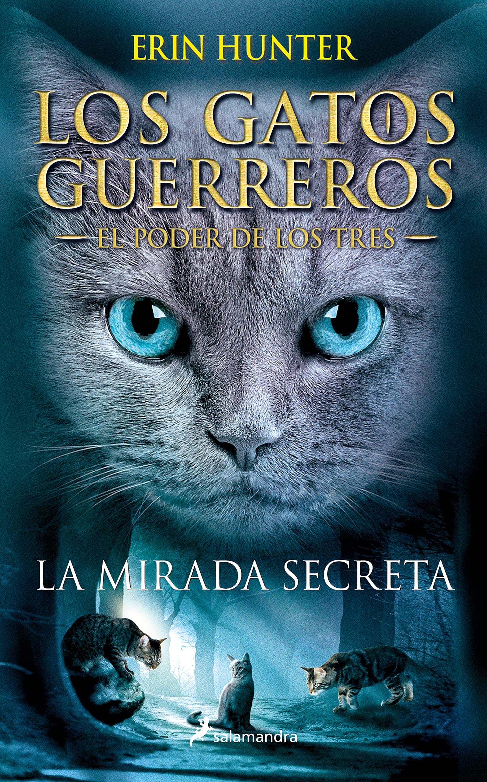 Mirada Secreta: . (Colección Salamandra Juvenil, Band 1) Fiction