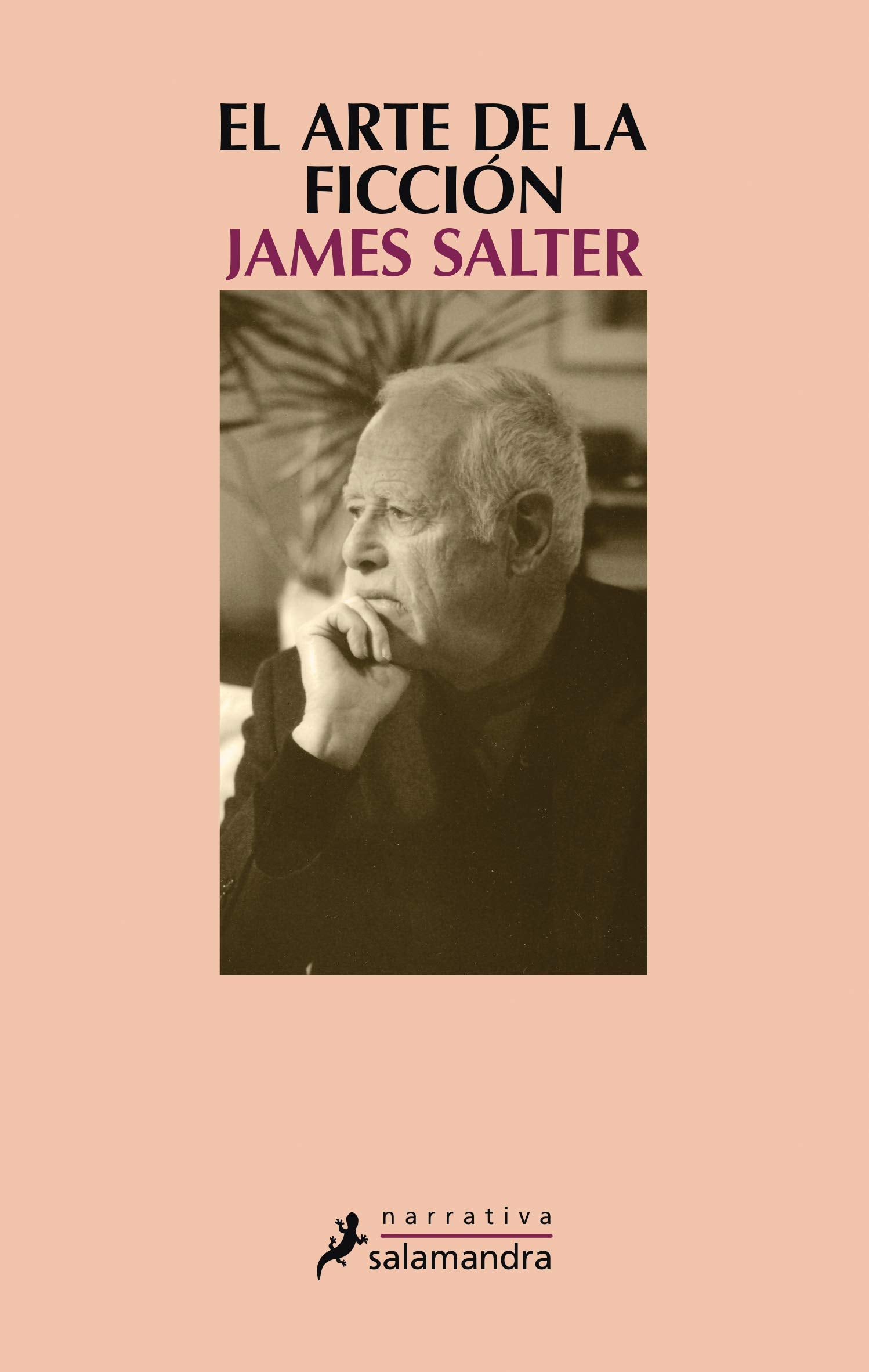 El arte de la ficción / The Art of Fiction book