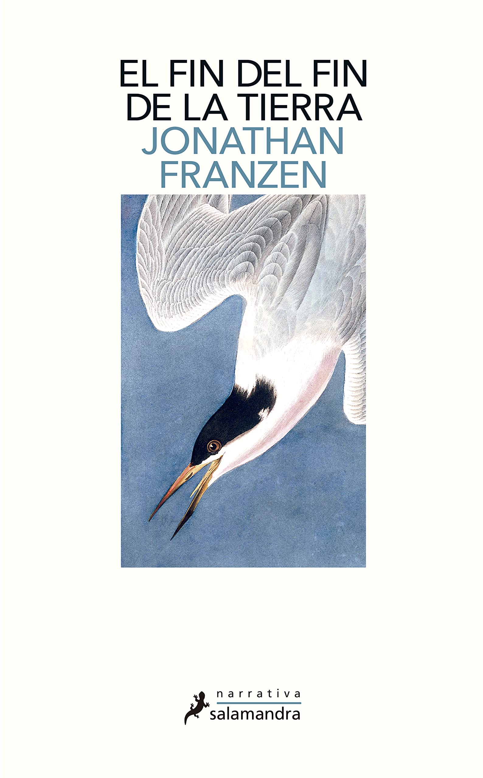 Fin del Fin de la Tierra, El (Salamandra Narrativa) Essays & Short Stories