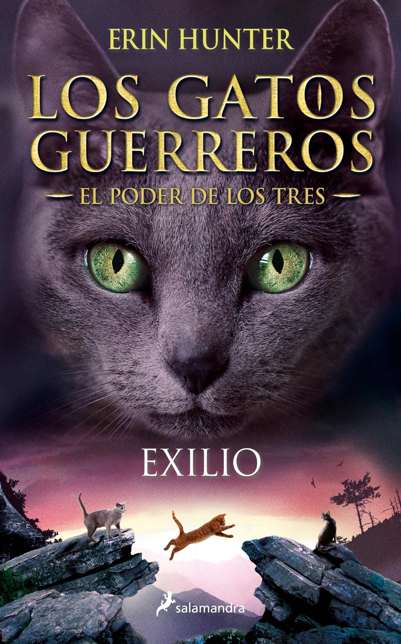 Exilio = Outcast: Los gatos guerreros - El poder de los tres III (Colección Salamandra Juvenil, Band 3) Fiction