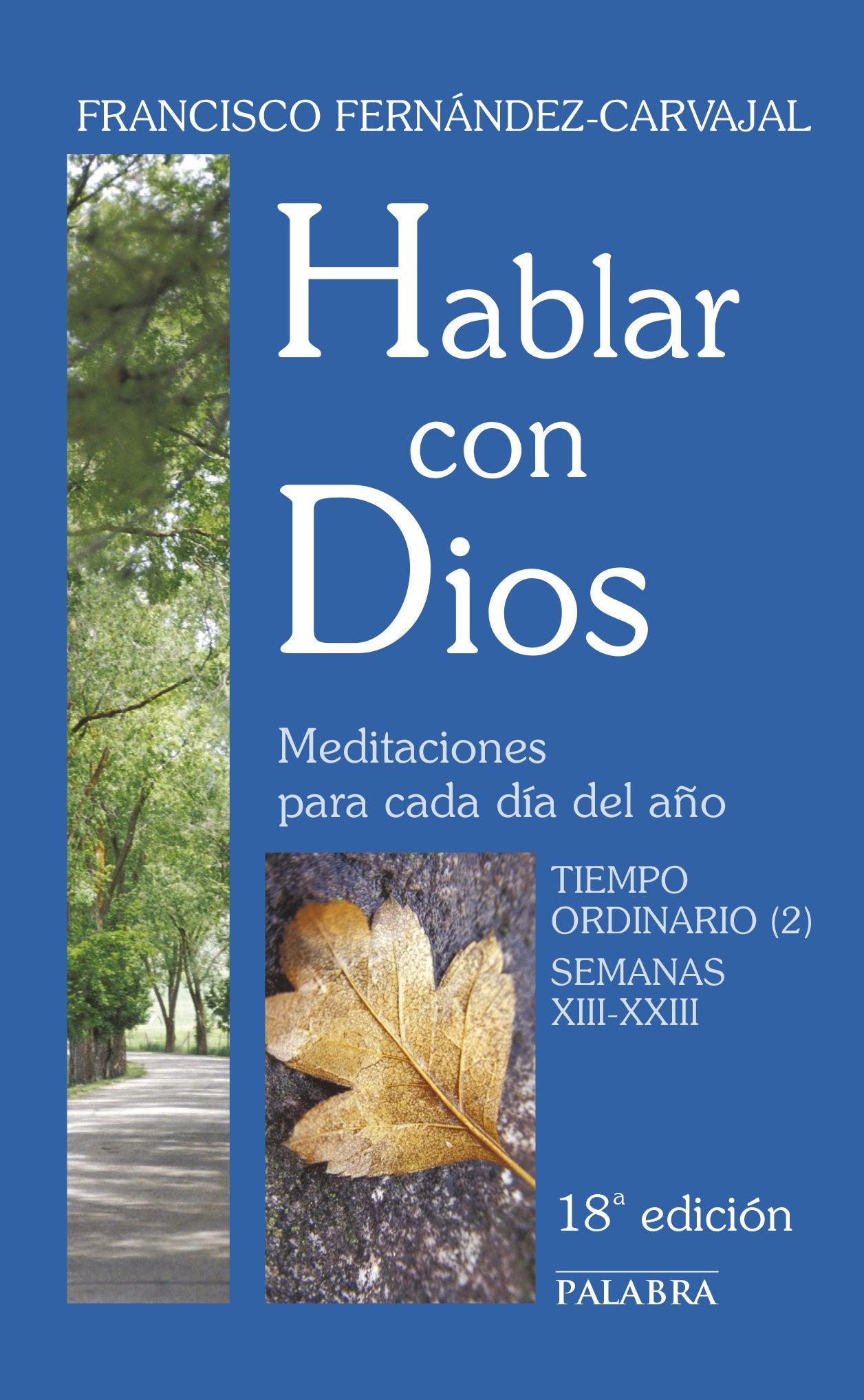 Hablar con Dios. Tomo IV: Tiempo ordinario (2). Semanas XIII-XXIII: 4 book