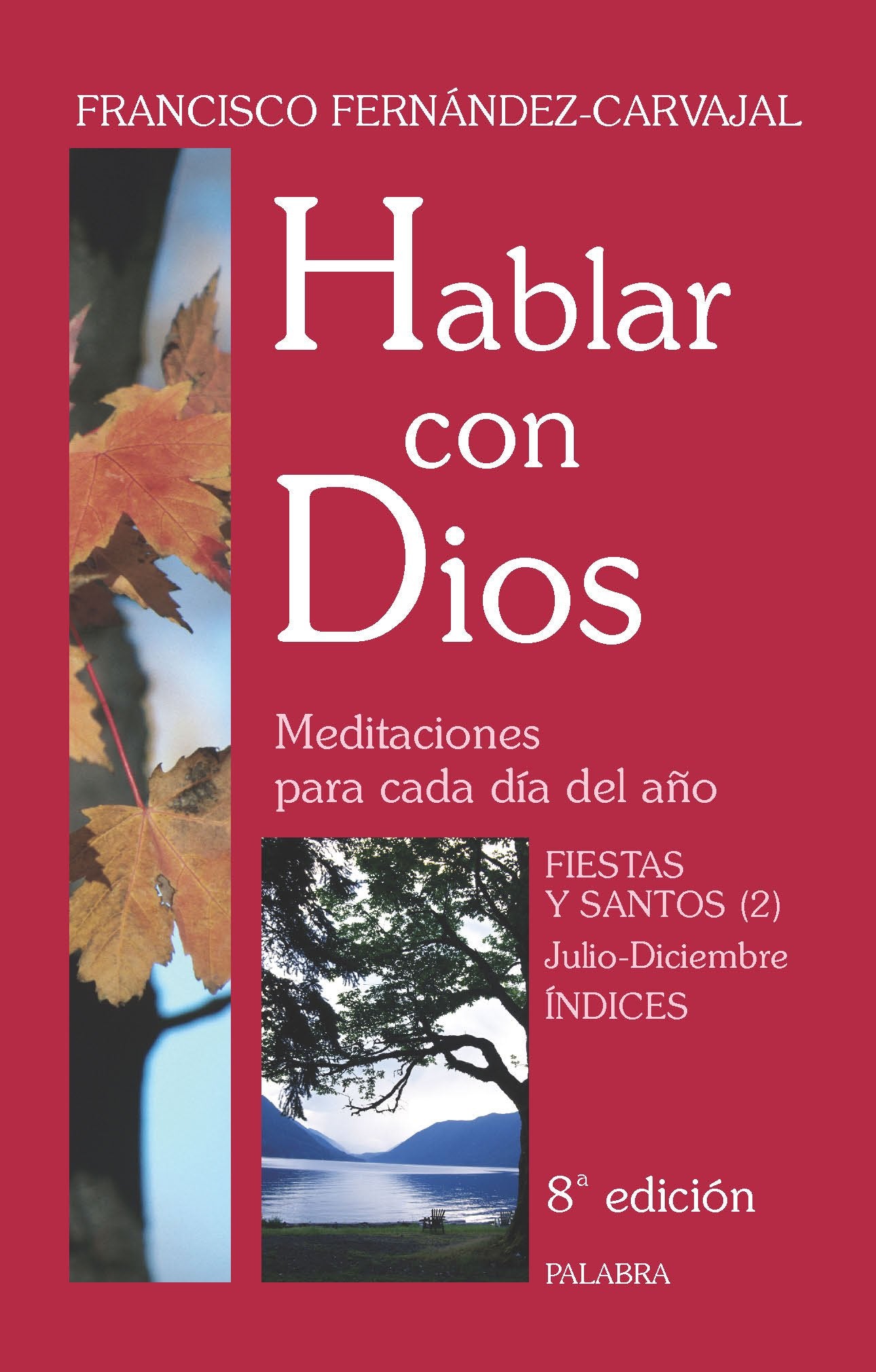 Hablar con Dios. Tomo VII: Fiestas y Santos (2). Julio-Diciembre e Índices book