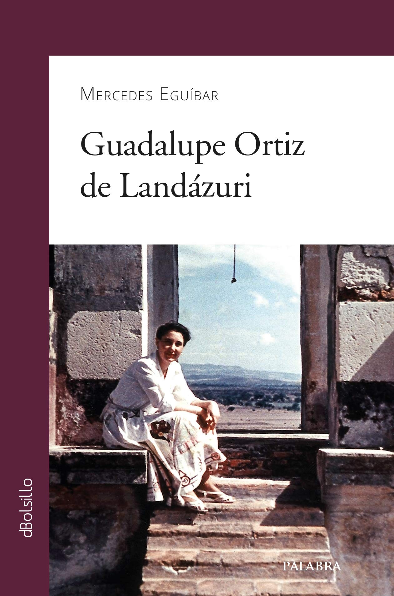 Guadalupe Ortiz de Landázuri (dBolsillo, Band 780) Books