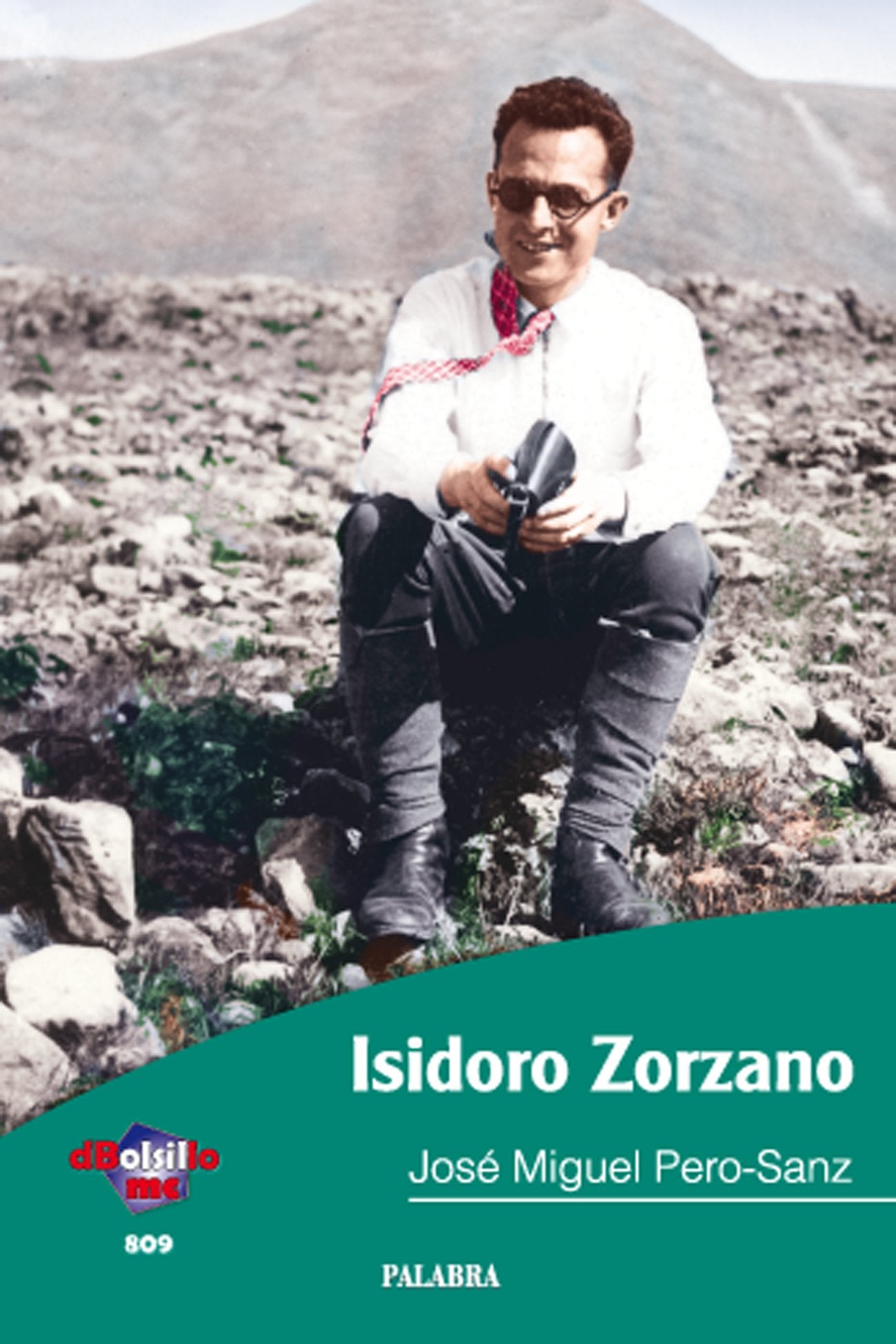 Isidoro Zorzano (dBolsillo, Band 809) Books