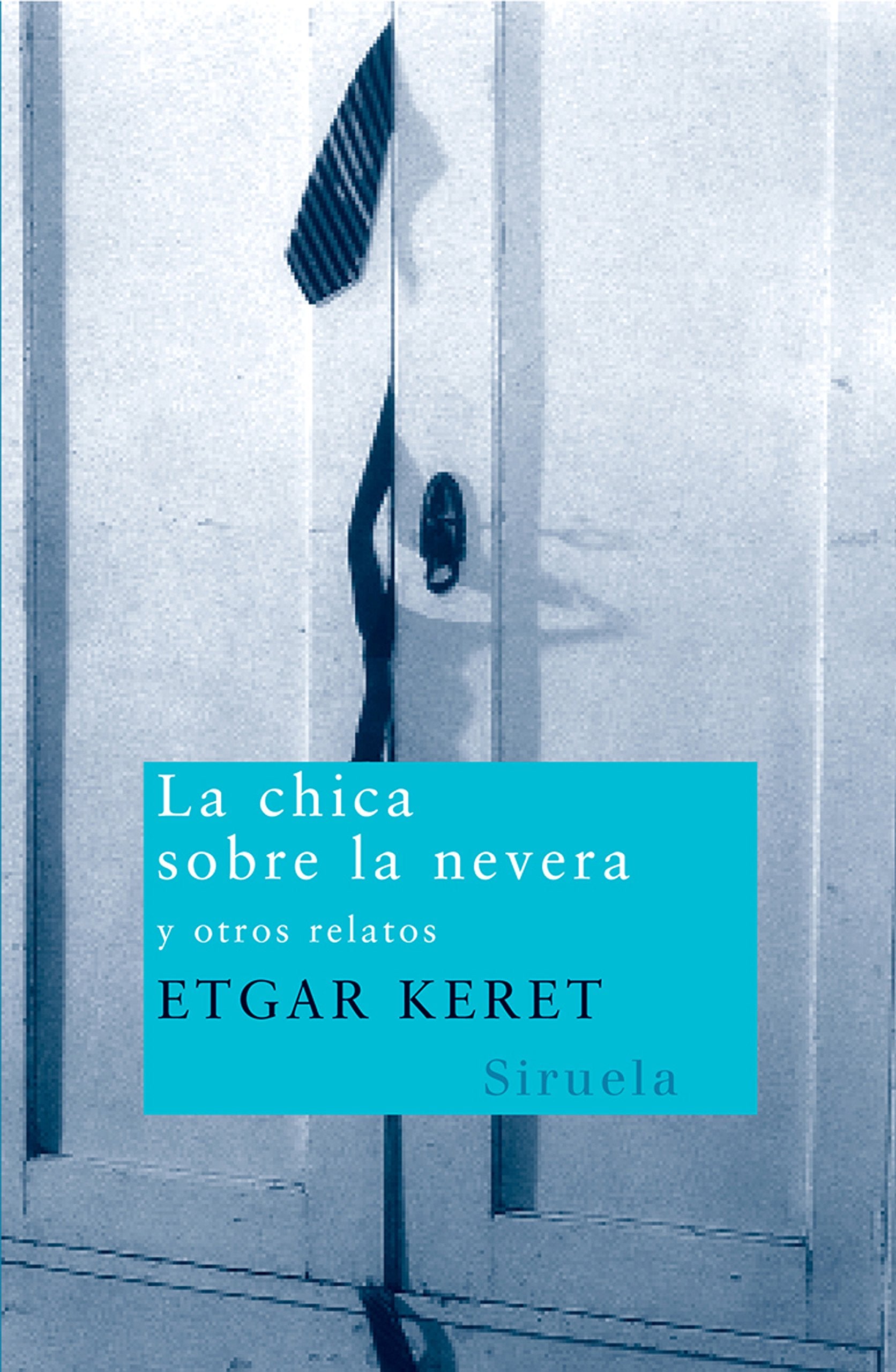 La chica sobre la nevera y otros relatos Essays & Short Stories