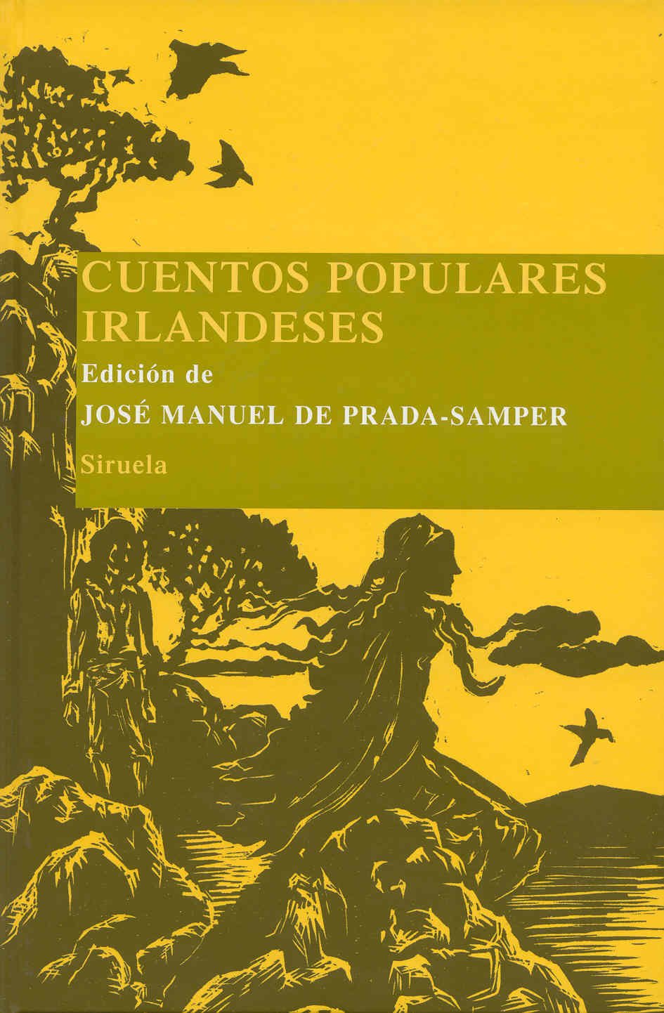 Cuentos populares irlandeses (Las Tres Edades/ Biblioteca de Cuentos Populares, Band 9) International