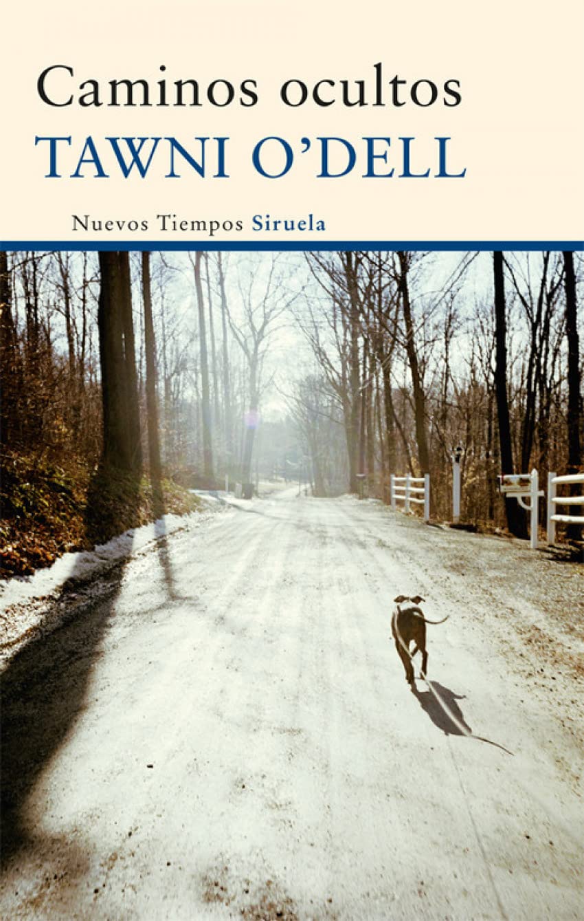 Caminos ocultos (Nuevos Tiempos, Band 222) Contemporary literature