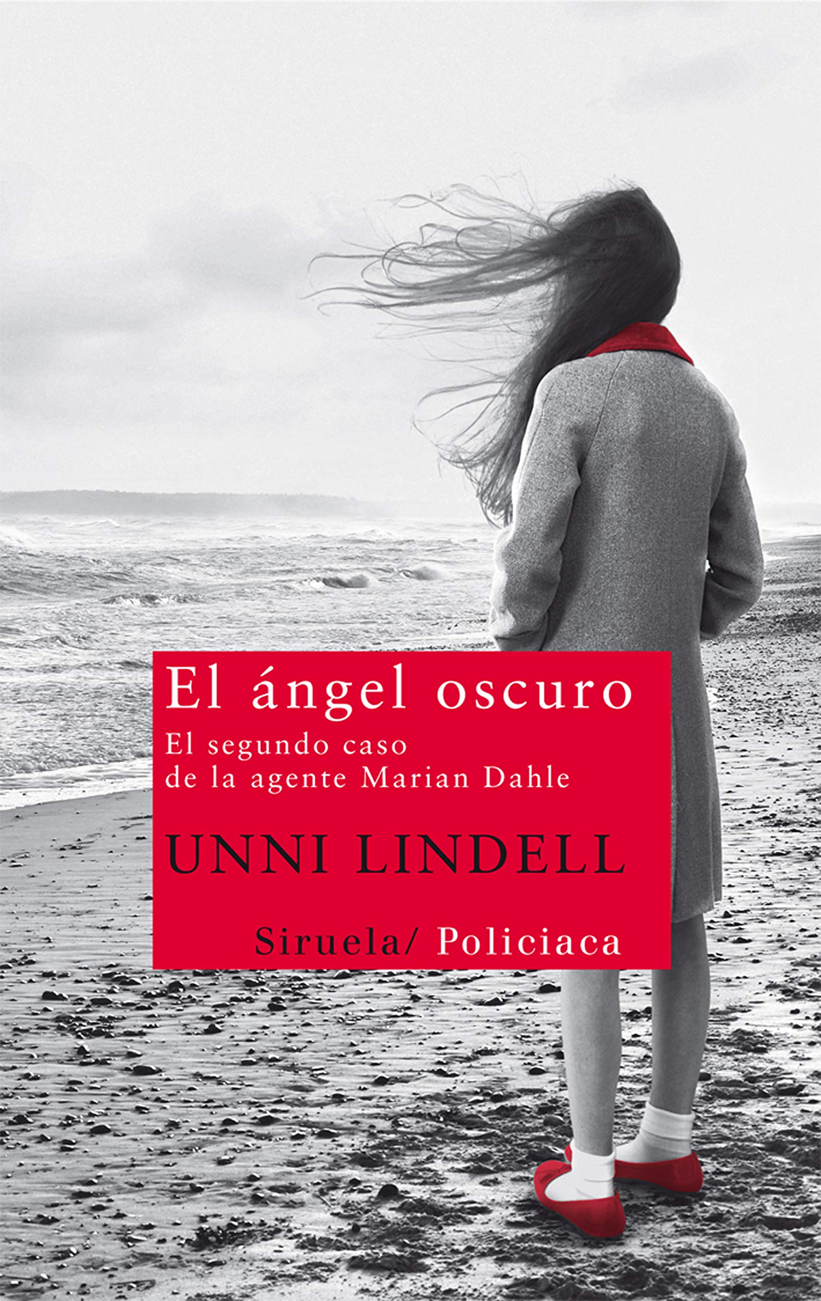El ángel oscuro: el segundo caso de la agente Marian Dahle Contemporary literature