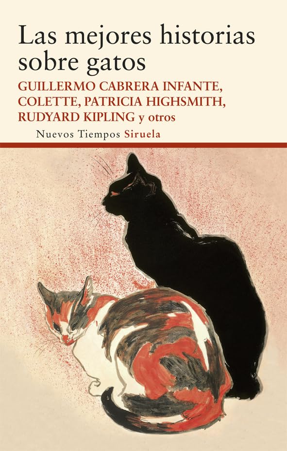 Las mejores historias sobre gatos book
