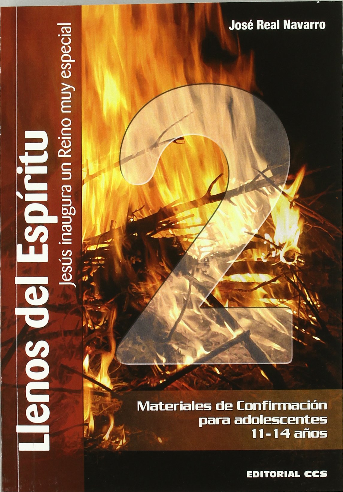 Llenos del espíritu 2 : Jesús inaugura un reino muy especial : materiales de confirmación para adolescentes 11-14 años book