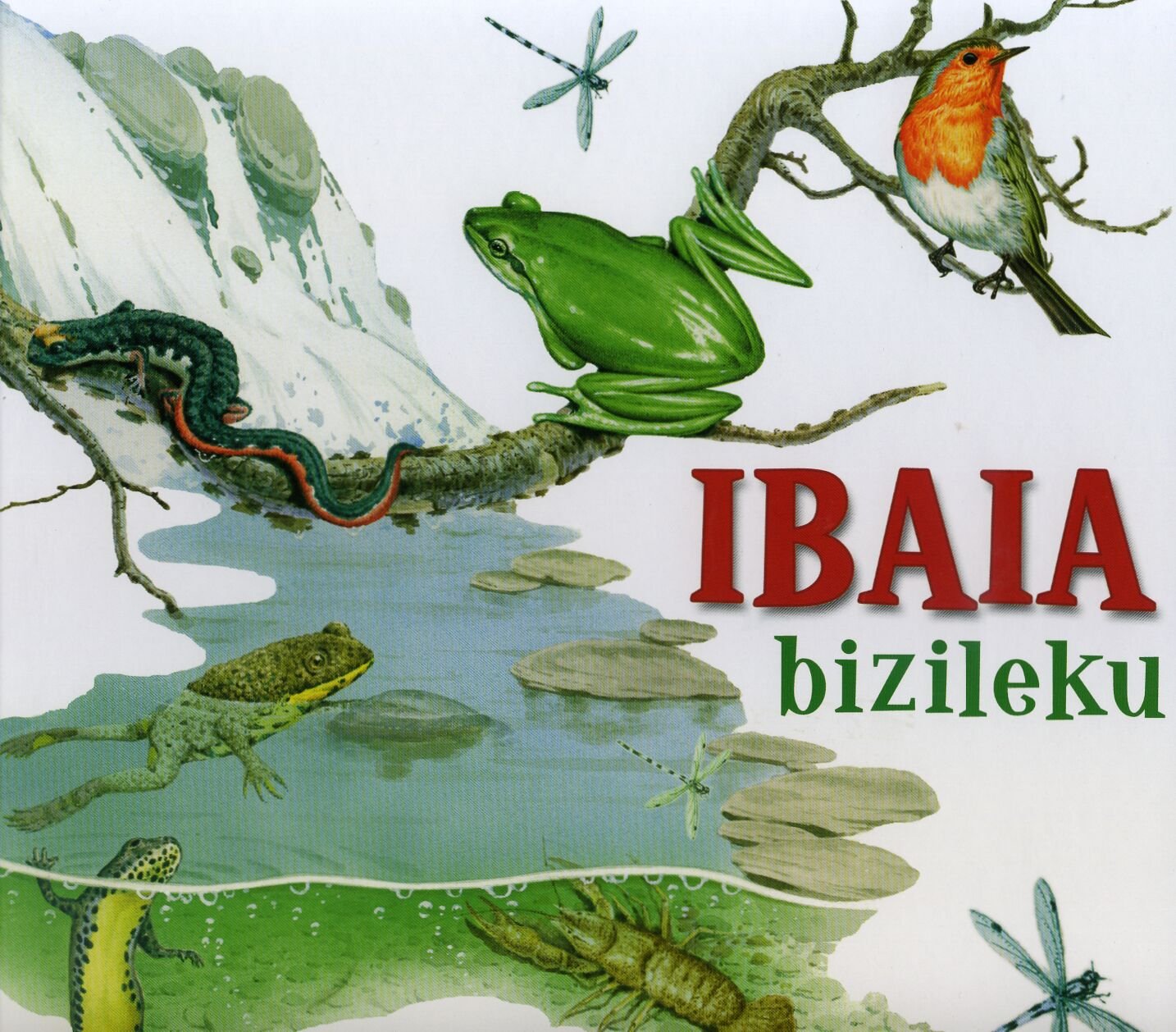 Ibaia bizileku (Makro-mikro) Novels & Short Stories