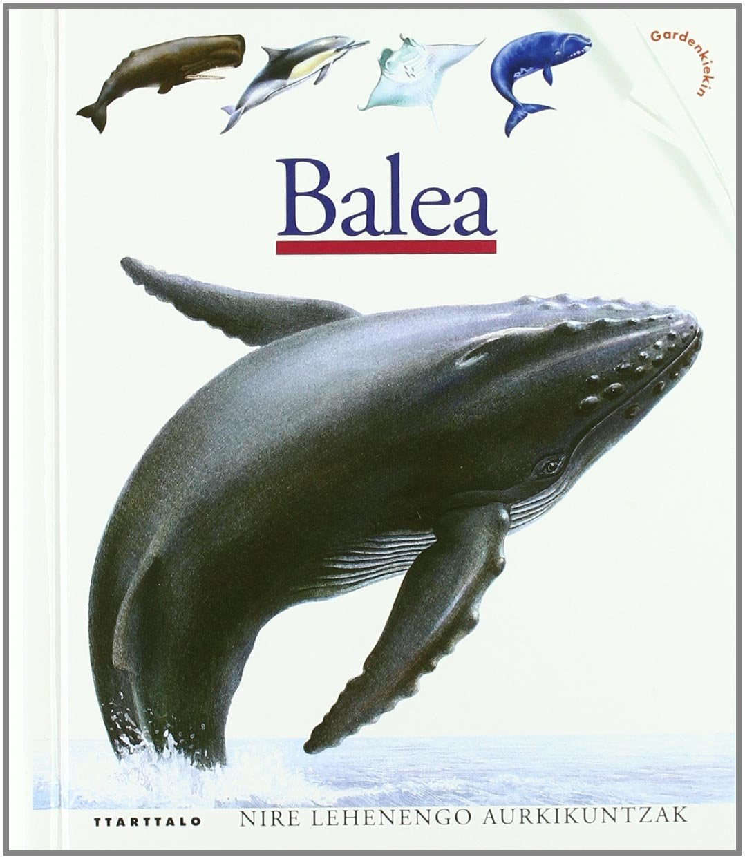 Balea (Nire lehen aurkikuntzak, Band 5) Tiptoi & Games