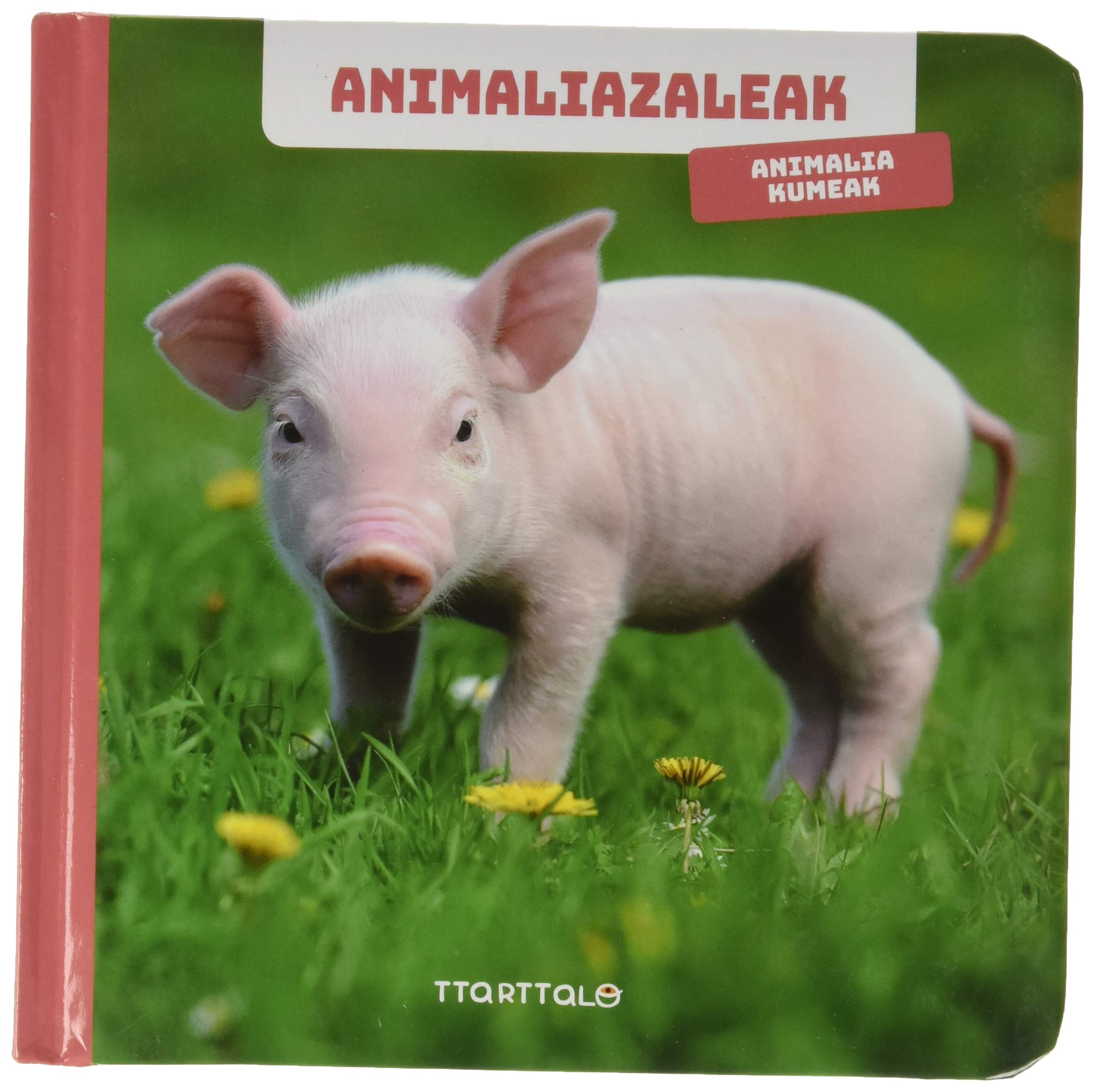 Animalia kumeak: Animalia kumeak book