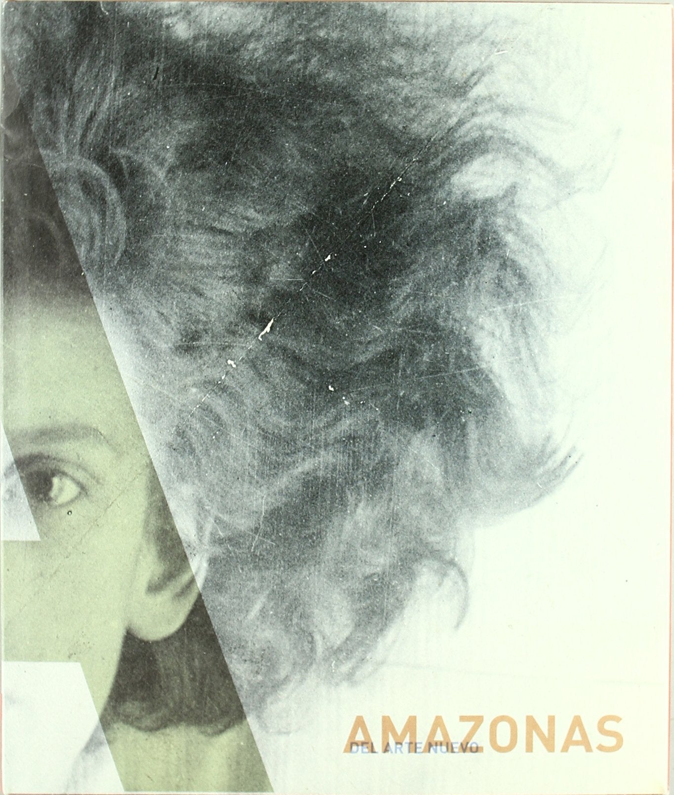 Amazonas del arte nuevo/ Amazons of the New Art book