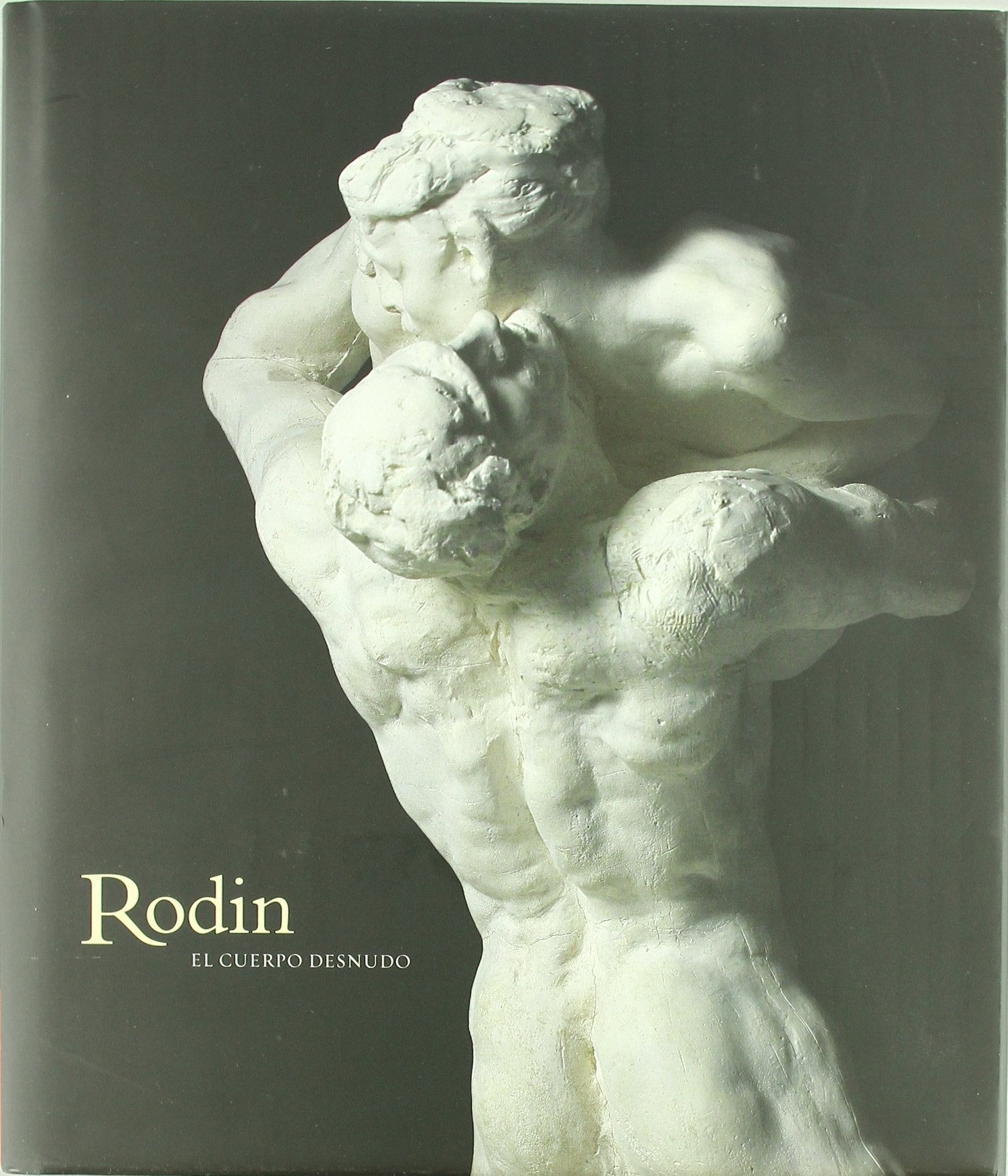 Rodin, El cuerpo desnudo book