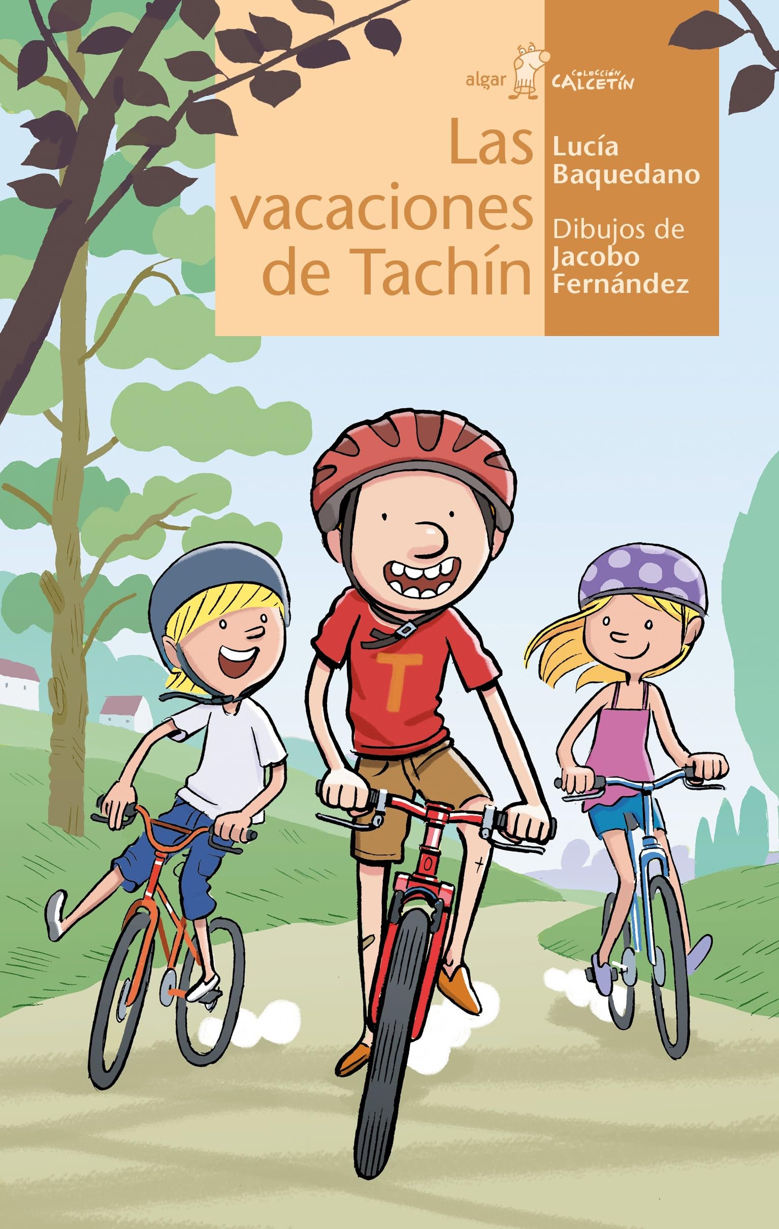 Las vacaciones de Tachín book