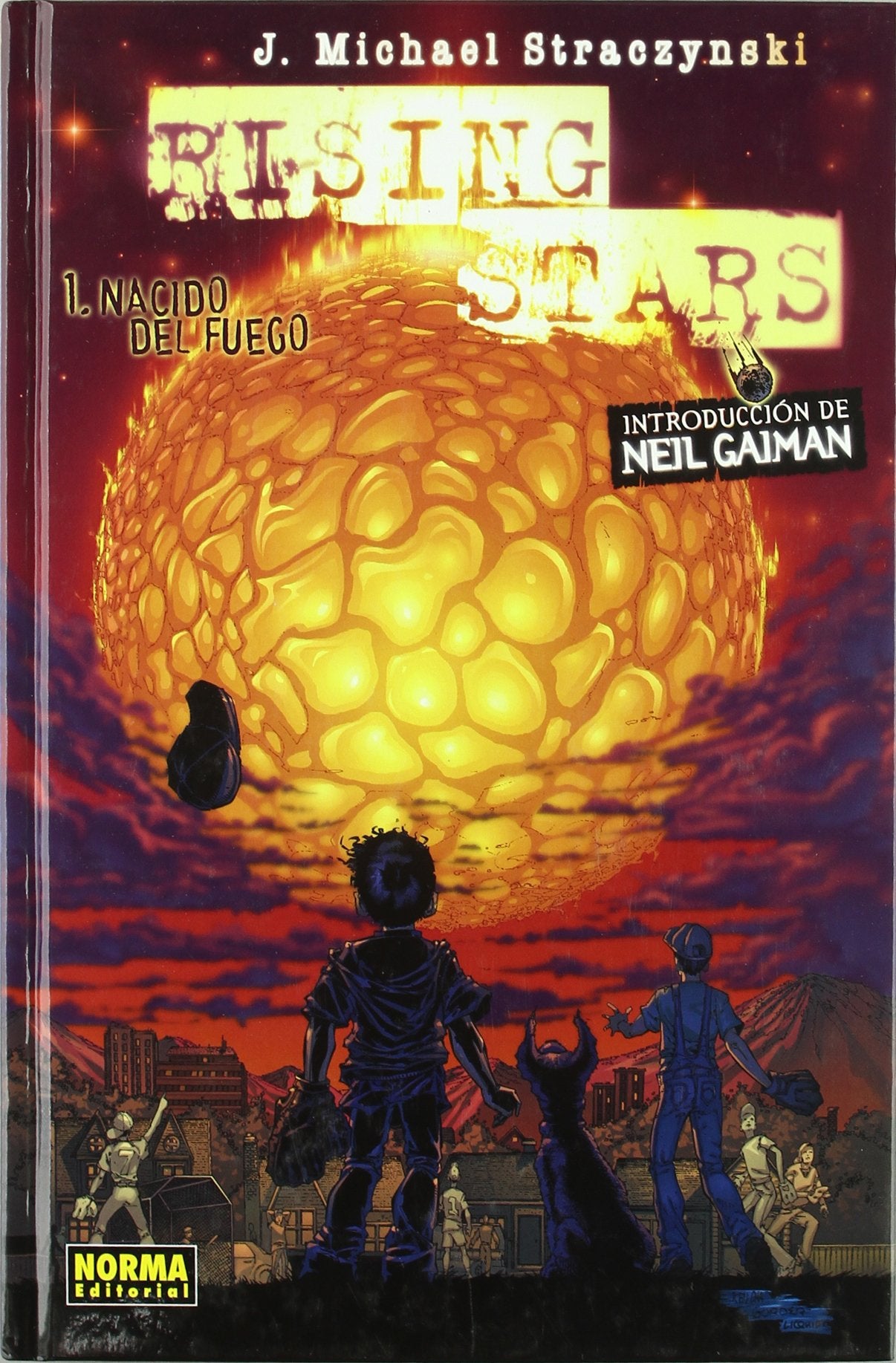 RISING STARS 1. NACIDO DEL FUEGO book