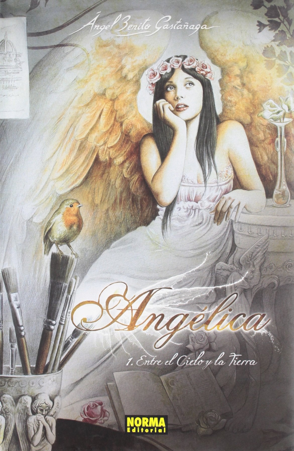 Angelica 1: Entre el cielo y la tierra/ Between the Sky and the Earth book