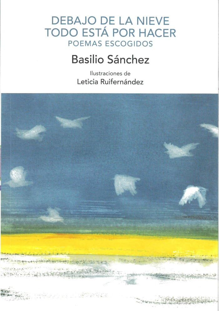 DEBAJO DE LA NIEVE TODO ESTA POR HACER book