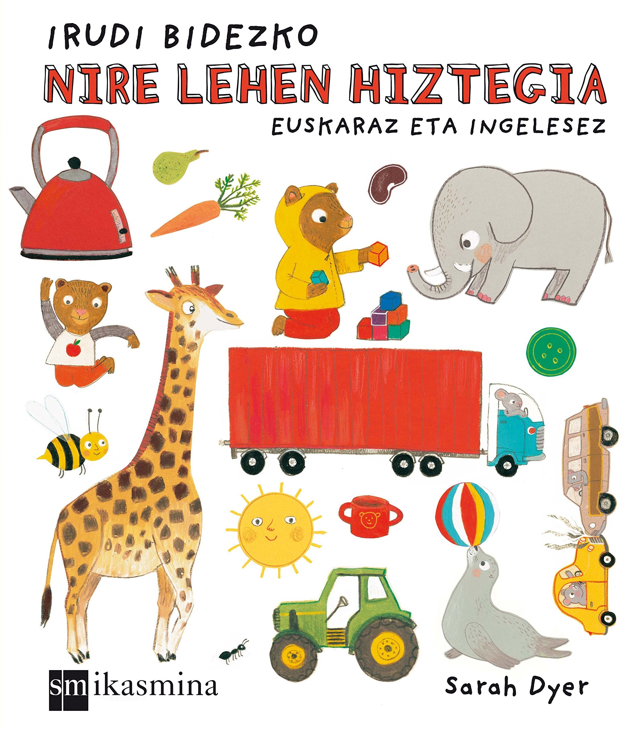 Irudi bidezko nire lehen hiztegia book