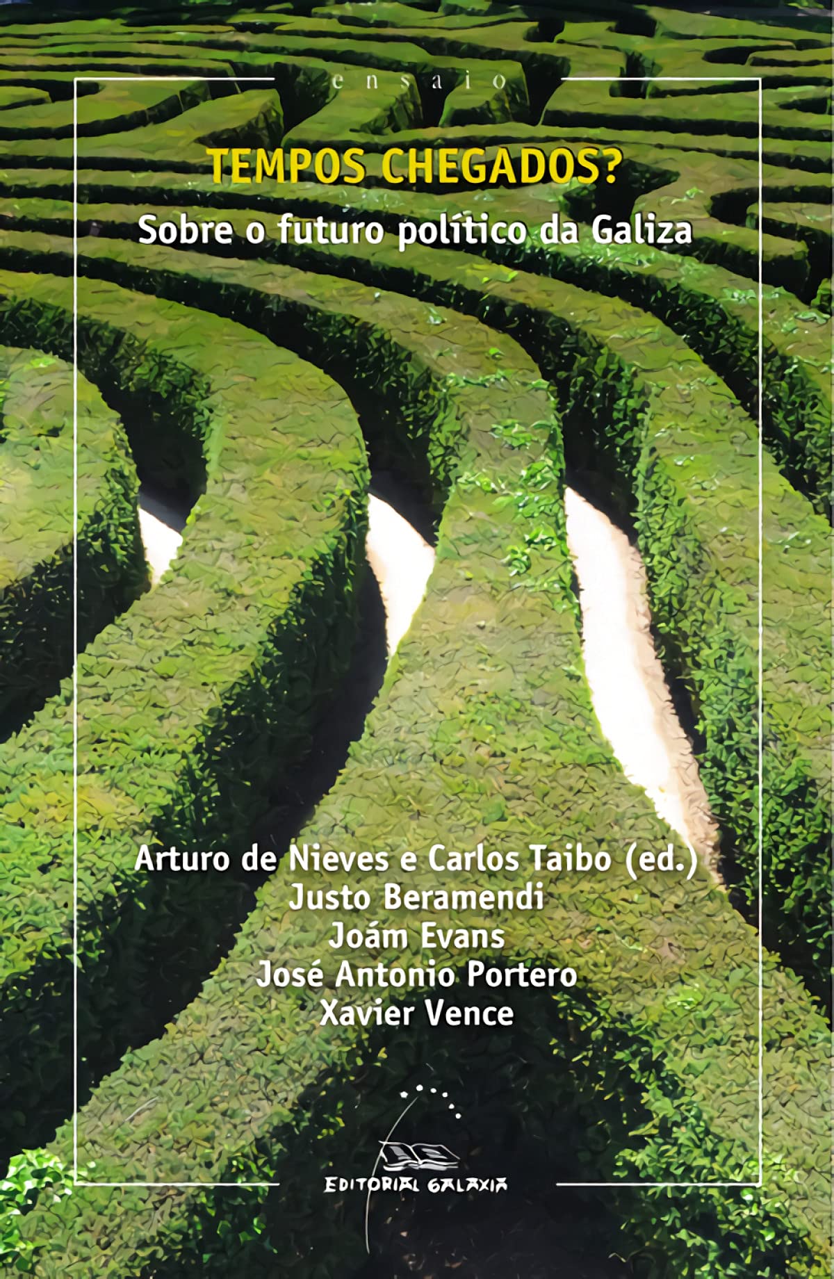 Tempos chegados? Sobre o futuro politico de galiza: Sobre o futuro político da Galiza book