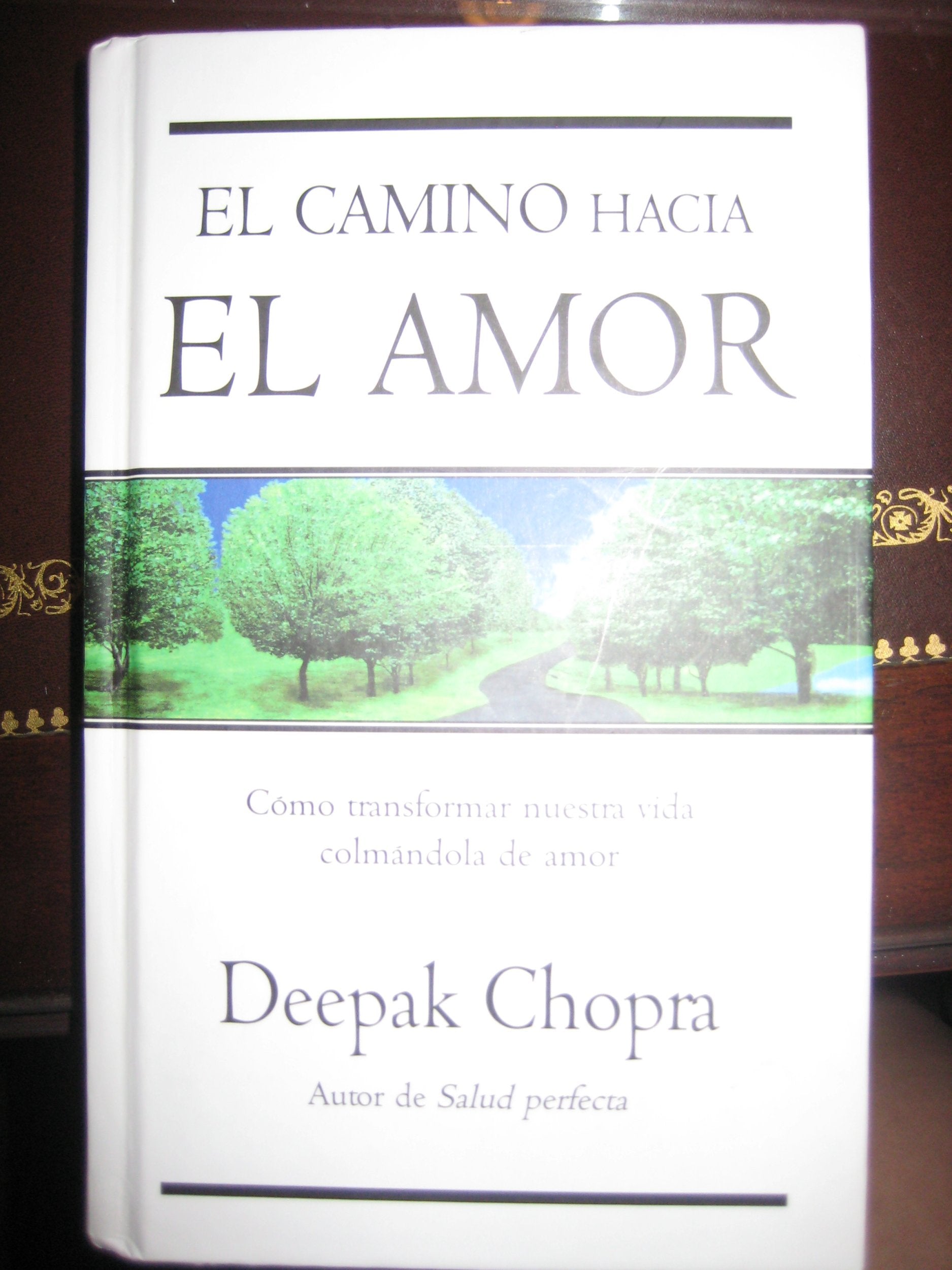 EL CAMINO HACIA EL AMOR (ZETA BOLSILLO TAPA DURA, Band 0) Philosophy