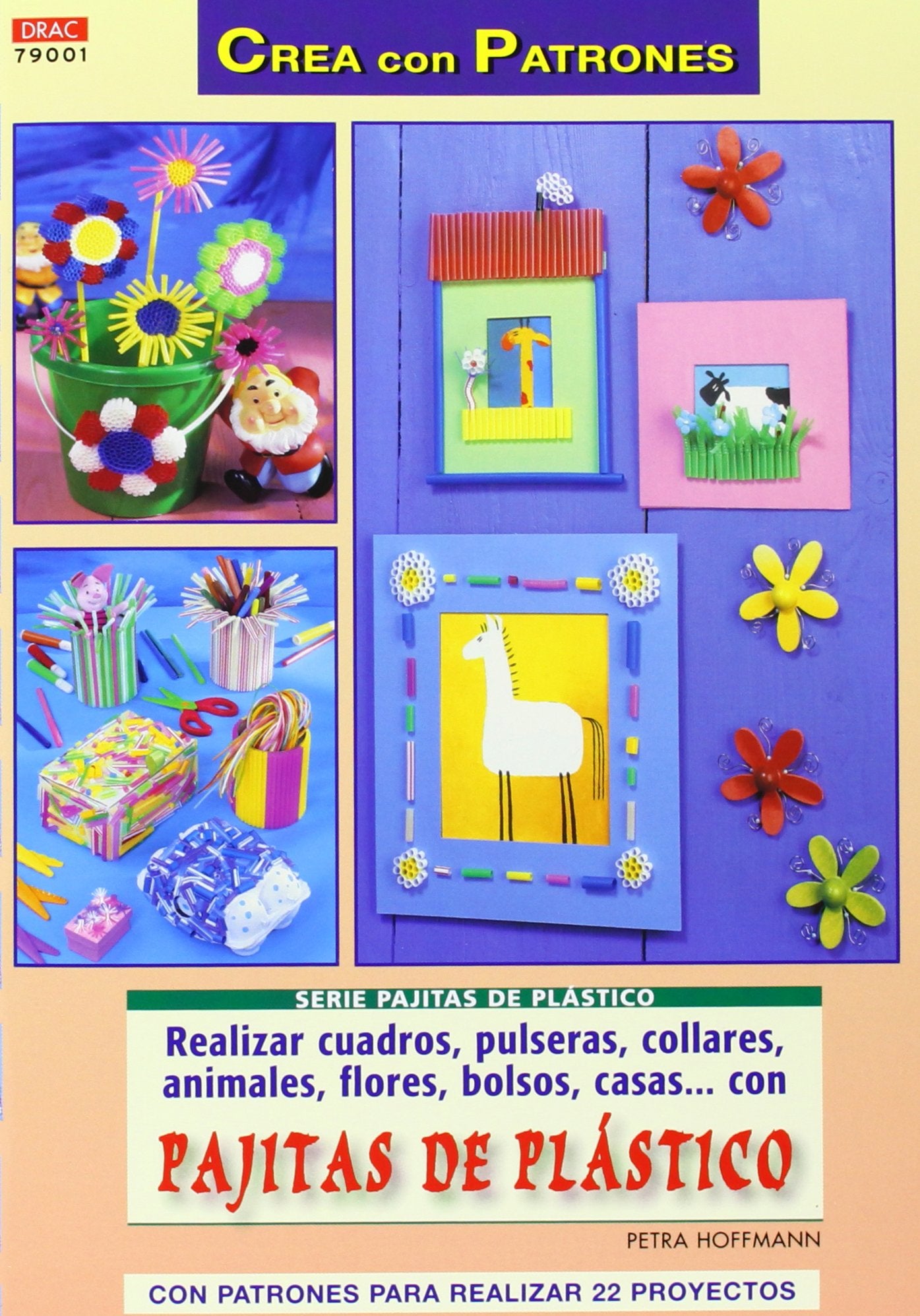 REALIZAR CUADROS, PULSERAS, COLLARES, ANIMALES, FLORES, BOLSOS, CASAS... CON PAJITAS DE PLÁSTICO book