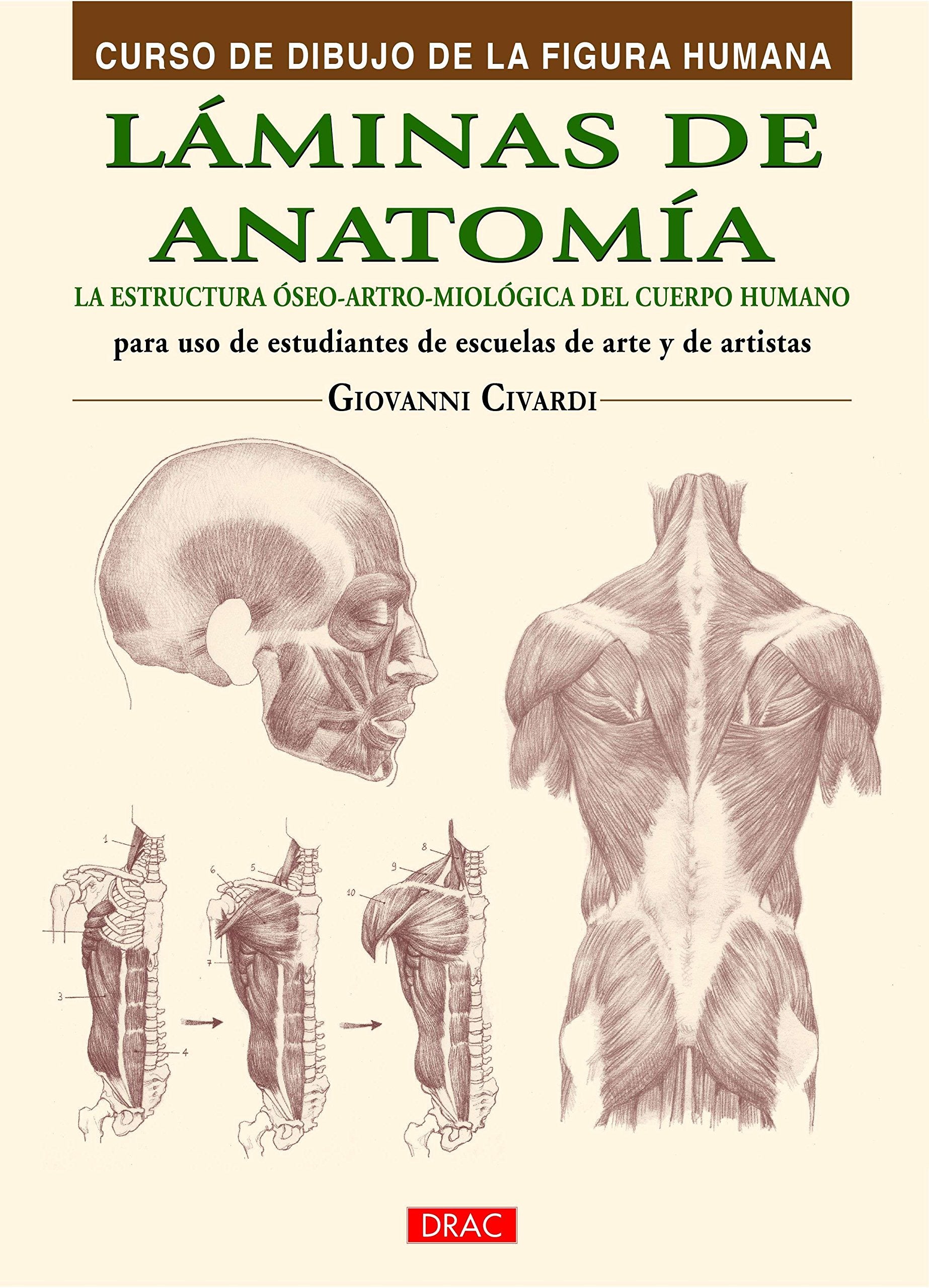 Láminas de anatomía: La estructura óseo-artro-miológica del cuerpo humano book