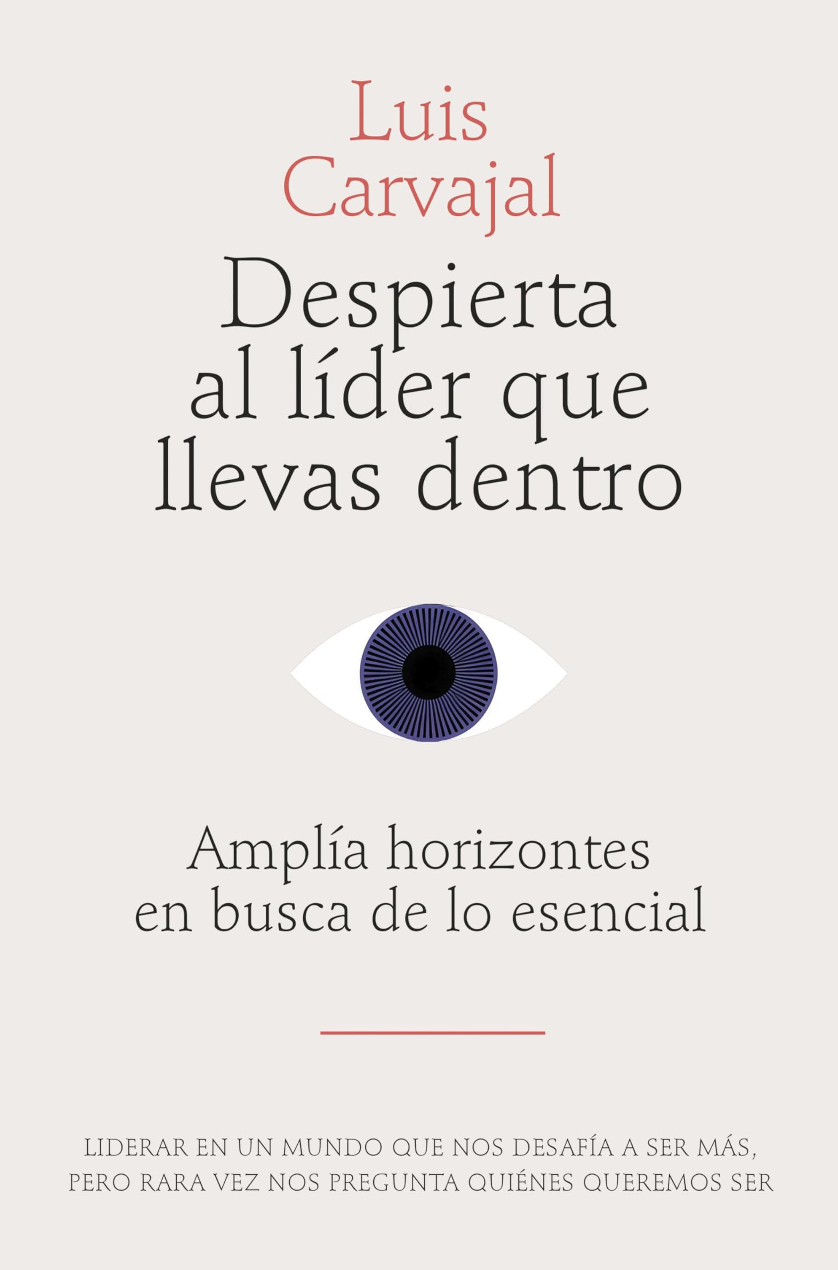 Despierta al líder que llevas dentro: Amplía horizontes en busca de lo esencial book