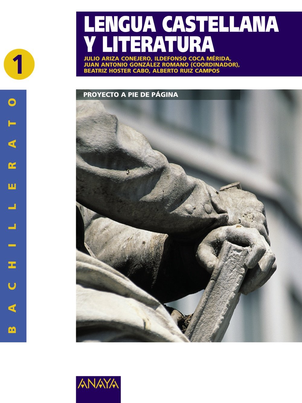 Lengua castellana y literatura 1 book