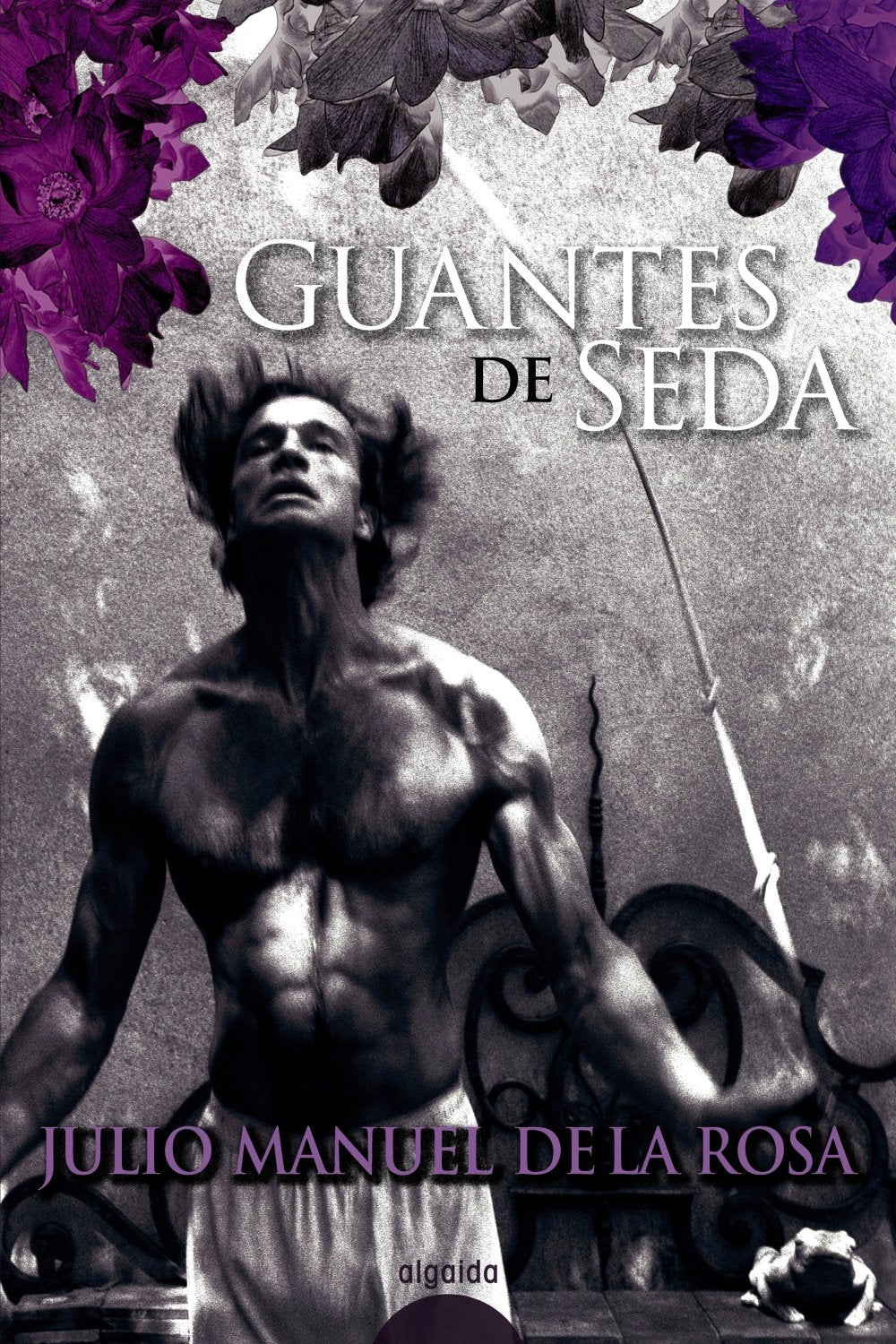 Guantes de seda/ Silk gloves book