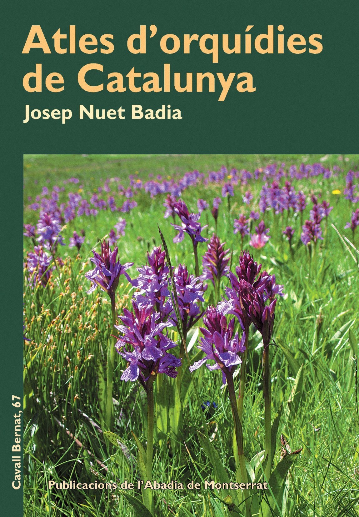 Atles d'orquídies de Catalunya (Cavall Bernat, Band 67) Leisure, Home & Garden