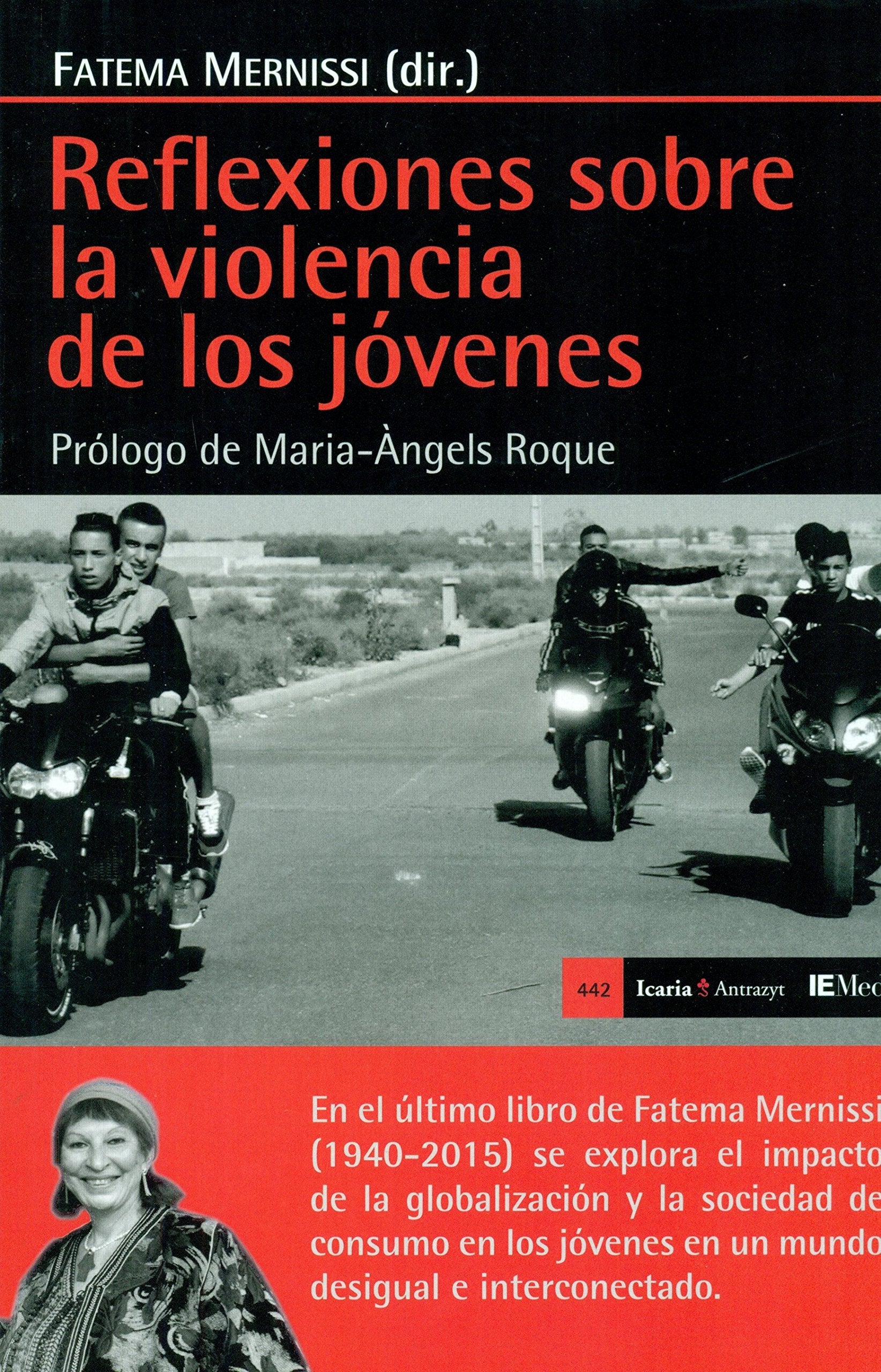 Reflexiones sobre la violencia de los jóvenes Social Sciences