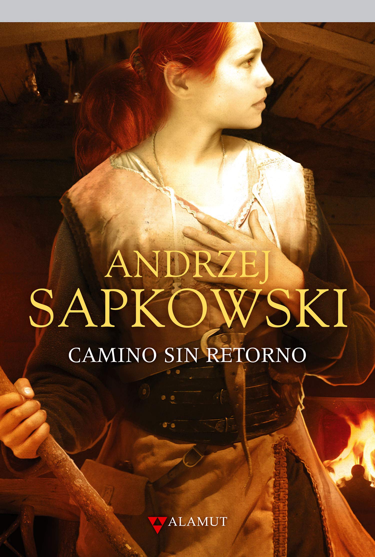 Camino sin retorno book