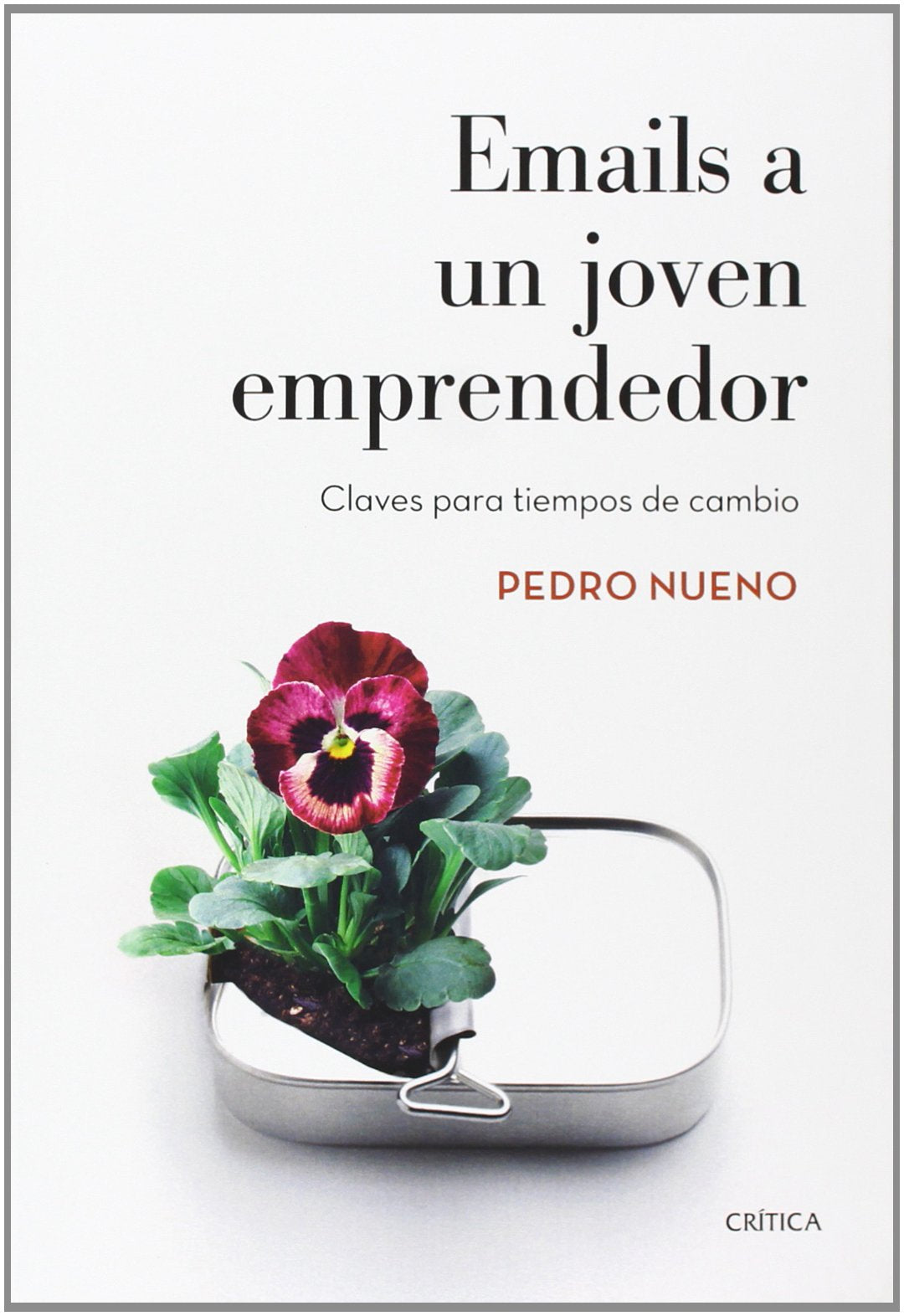 Nueno, P: Emails a un joven emprendedor : claves para tiempo book