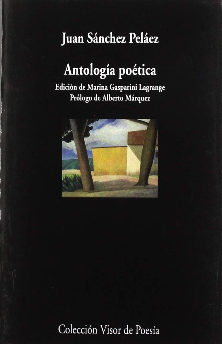 Antologaia Poaetica book