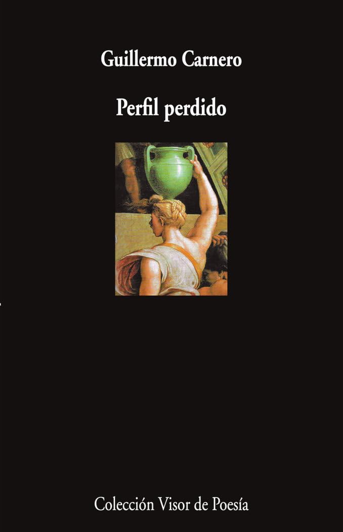 Perfil perdido (Visor de Poesía, Band 1198) Poetry
