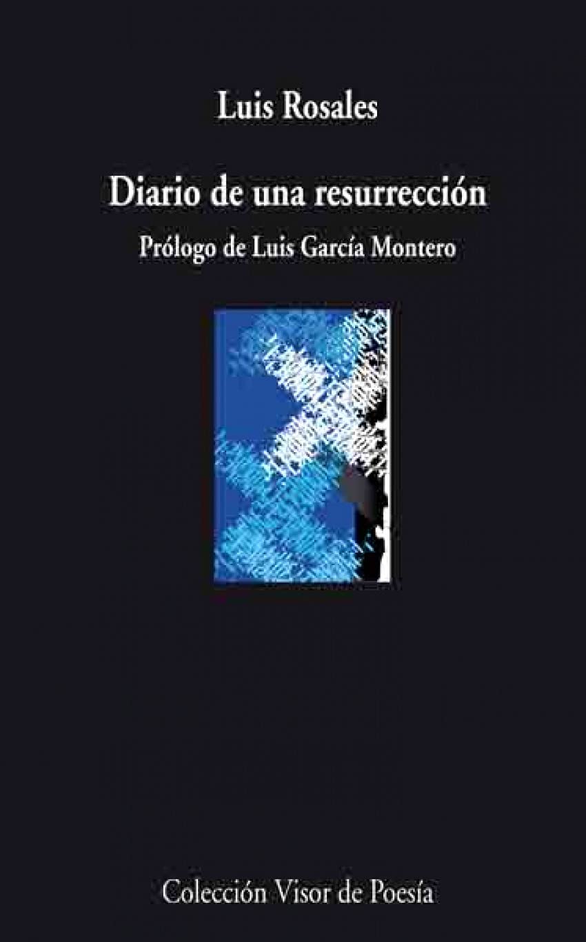 Diario de una resurrección book