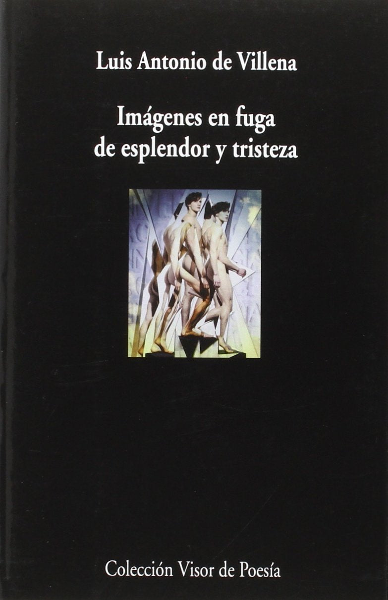 Imágenes en fuga de esplendor y tristeza book