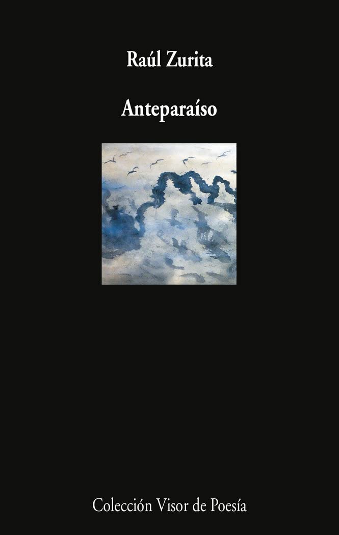 Zurita, R: Anteparaíso book