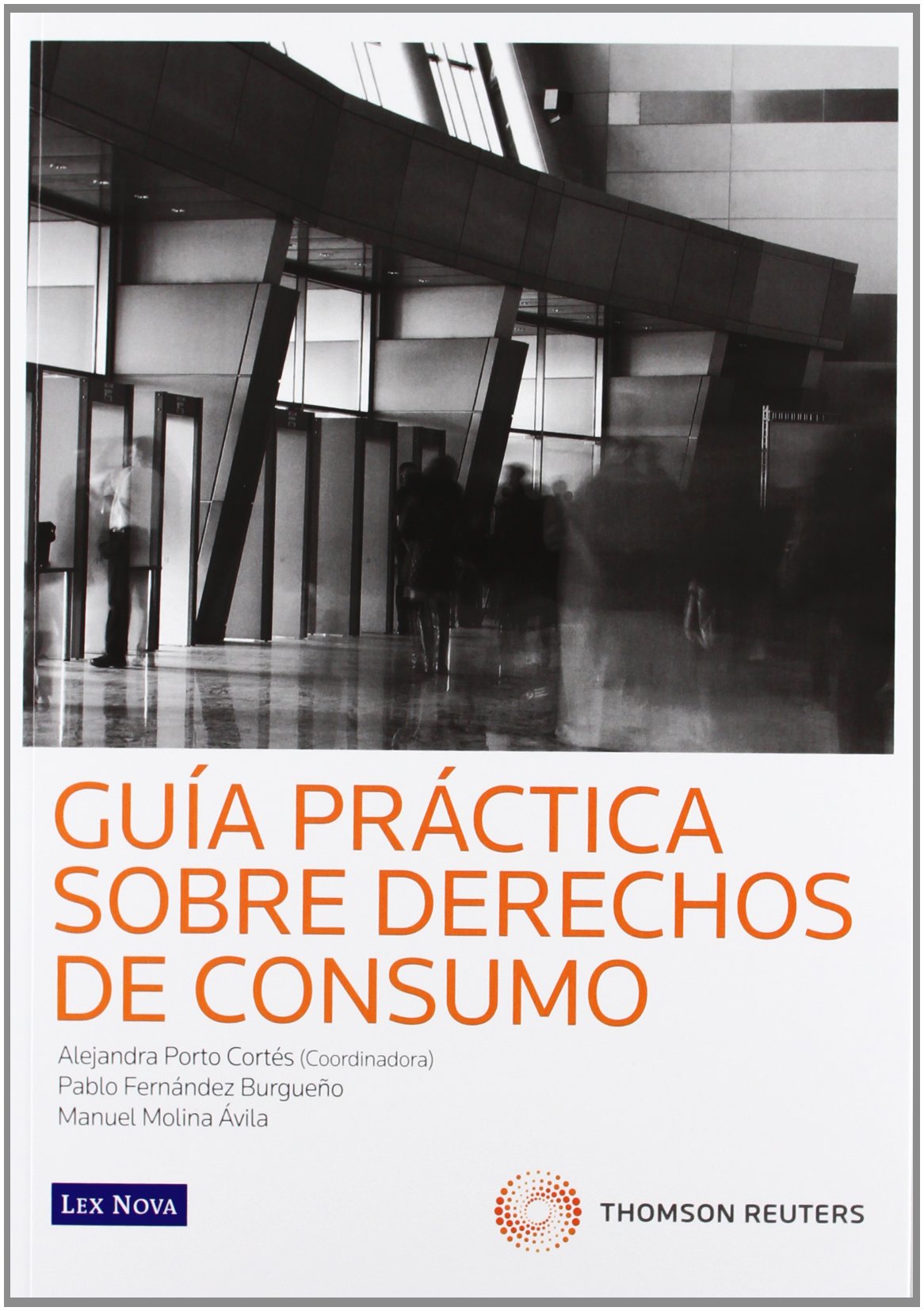 Guía práctica sobre derechos de consumo (Monografía) Books