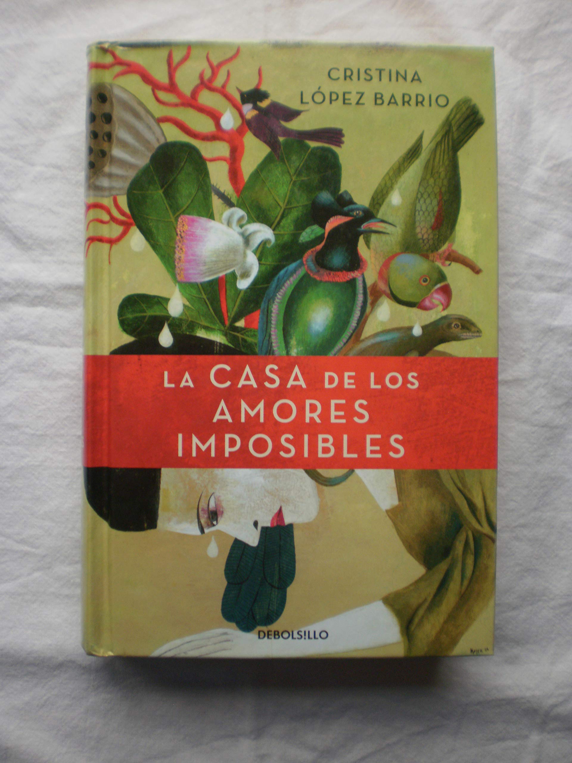 La casa de los amores imposibles book