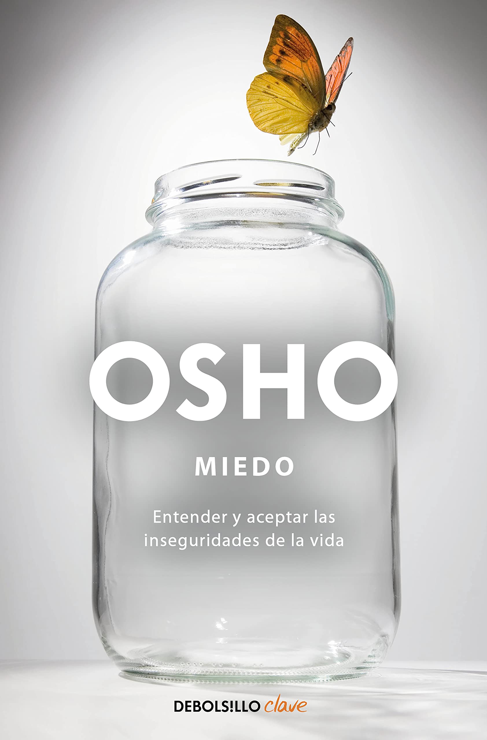 Miedo : entender y aceptar las inseguridades de la vida (Clave) Lifestyle