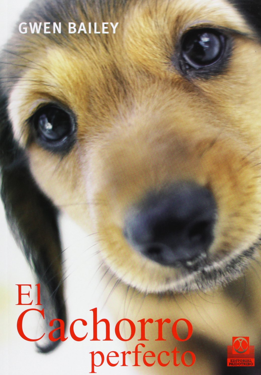CACHORRO PERFECTO, EL (Color). (Animales de Compañía) Medicine