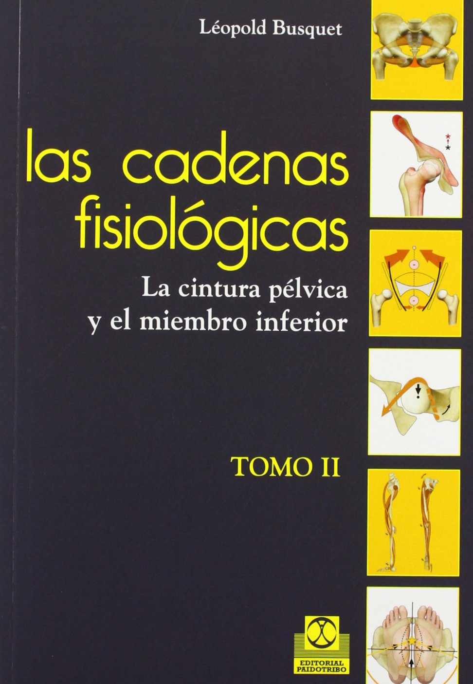 Las cadenas fisiológicas II : La cintura pélvica y el miembro inferior (Medicina) Health, Nutrition & Fitness
