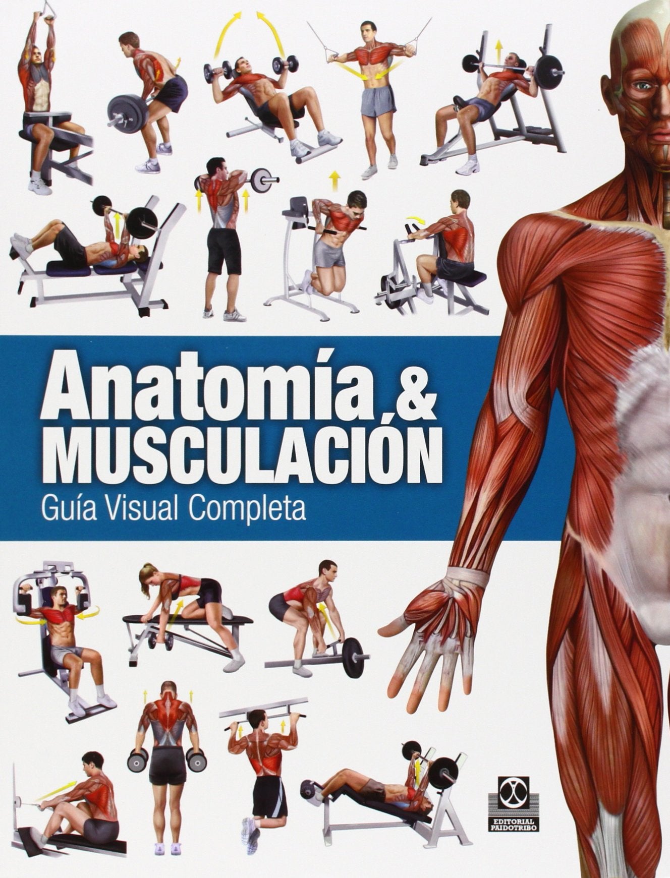 Anatomía & Musculación. Guía visual completa (Color) book