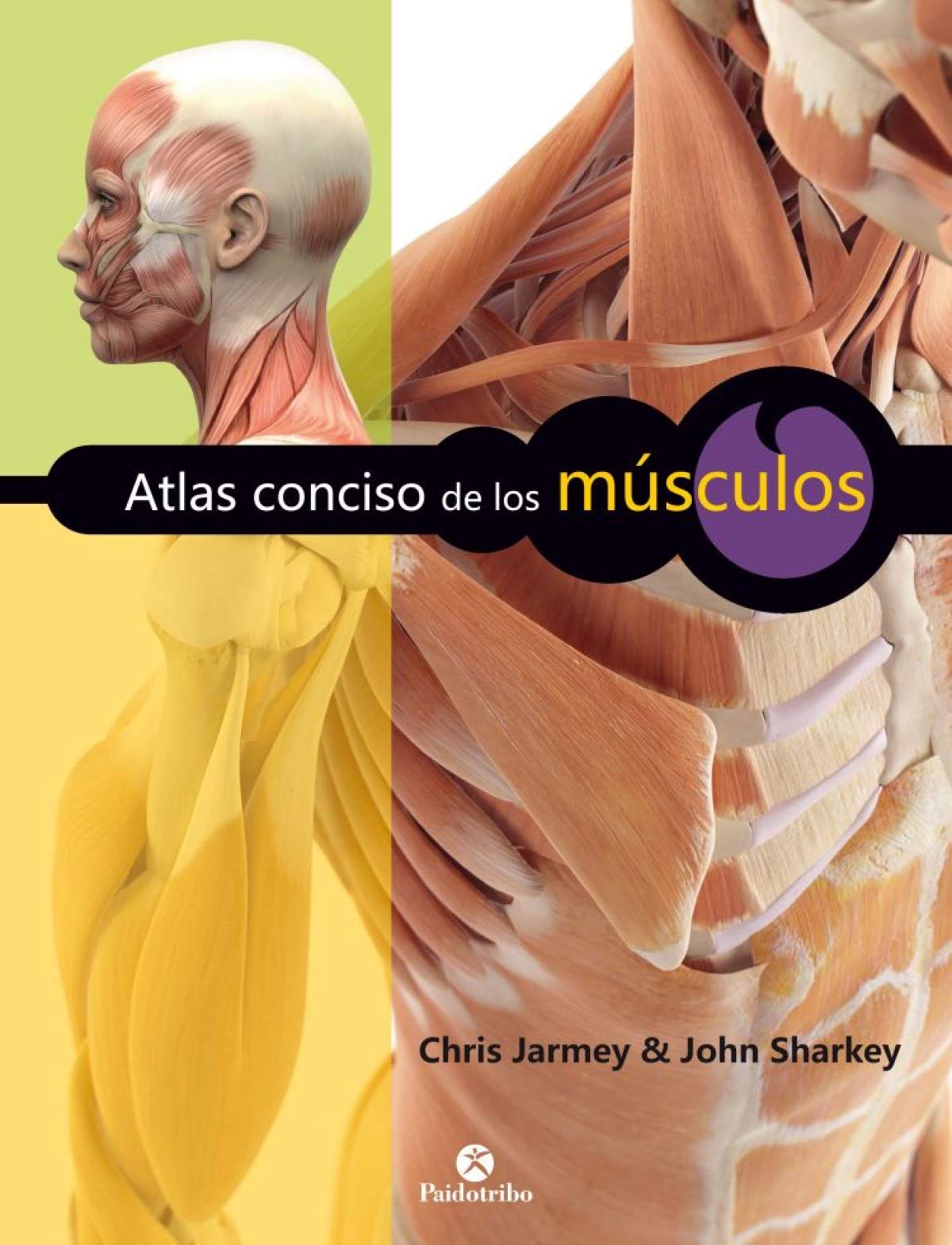 ATLAS CONCISO DE LOS MÚSCULOS (Color) (Medicina) Medicine