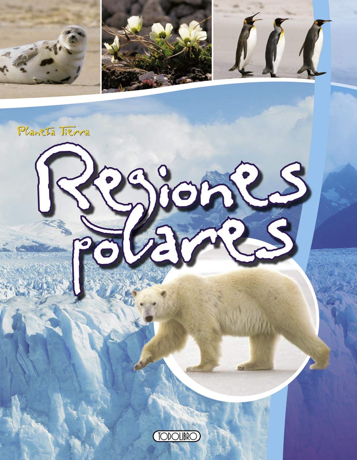Regiones polares book