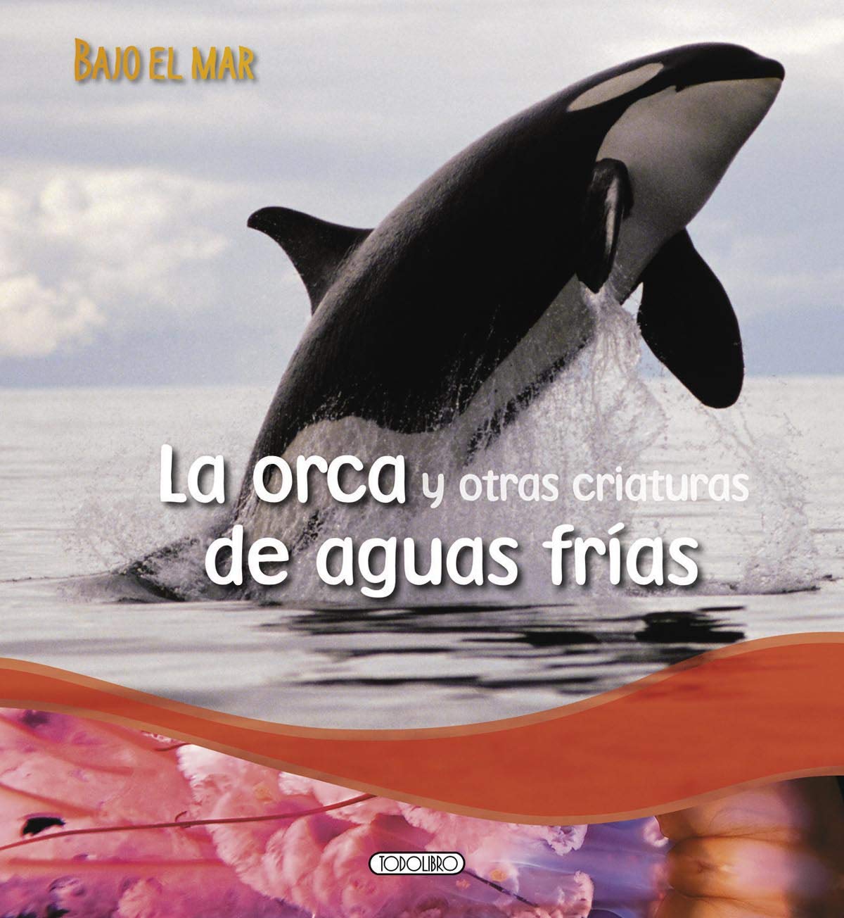 La orca y otras criaturas de aguas frías book