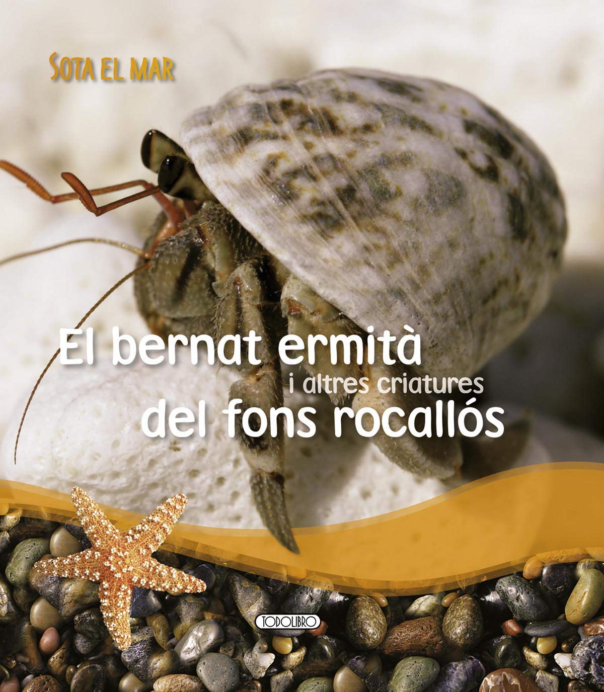 El bernat ermità i altres... book